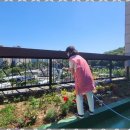 자연요양원 | 인천요양원 도심 속 자연을 누리는 논현사랑뜰요양원 후기