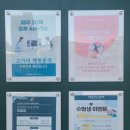 잠실/종합운동장 | 지안필라테스 자이로토닉 : 체계적...있는 잠실새내필라테스 (그룹필테 후기)