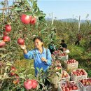 대풍농장 이미지