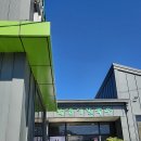 봉준호 감독 영화 미키17 후기 쿠키영상 로버트 패틴슨 진천 학댕이칼국수 매생이 매콤꼬막비빔 포함