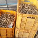 하루농장 이미지