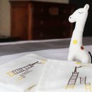 호텔소셜스테이 이미지