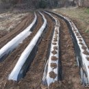 협신농약사 이미지