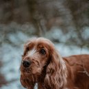 영은한의원 이미지