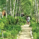 원주허브팜식물박물관 이미지