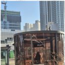 세마부동산중개사무소 이미지