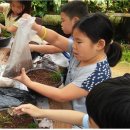 풍세초등학교 이미지