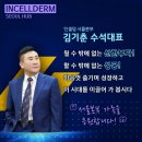 선한 인셀덤 이미지