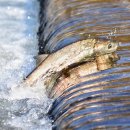 국우석한의원 이미지