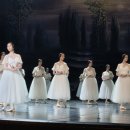 (공연) 국립발레단 <지젤> 이미지