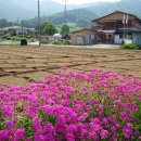 성암마을회관 이미지