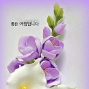 아침 인사말 / 9가지 좋은 글 이미지 이미지