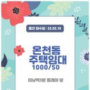 금성상가시장 이미지