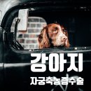 진리동물병원 이미지