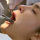 세경 이미지
