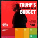 트럼프의 2026년 예산안 시각화 이미지