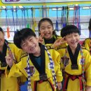 행복한 삼성태권도장 이미지
