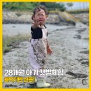 (주)파란오이 | 28개월 아기랑 오이도 갯벌체험 후기｜물때 맞춰 동죽 캐고 박물관까지