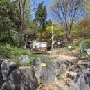 용인시청 제1별관 이미지