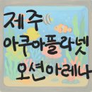 오션 아레나 | 제주 실내 놀거리 아쿠아 플라넷 오션 아레나 공연 후기