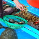 대천수산 이미지