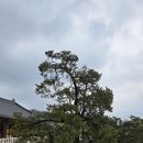 세주묘엄박물관 이미지