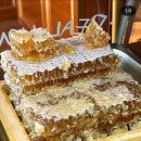 도토리(dotori) 티스토리