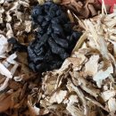 네이처테이너 농업회사법인 주식회사 이미지