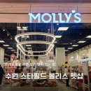 펫필드 동물병원 이미지