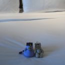 멍트로시티 | [⭐️⭐️⭐️⭐️⭐️] 콘래드호텔 프리미엄 킹룸후기 (조식,석식포함)