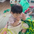 🥭망고반 6월2주 화요일 -늪지대 놀이 이미지