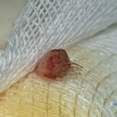 고은동물병원 이미지