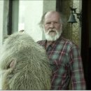 형제축사 이미지