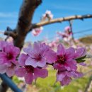 영남모터싸이클 이미지