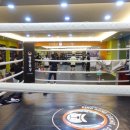 킹콩복싱아카데미 이미지