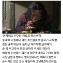 나이 30 먹고 치킨집에서 질질 짠 이유 이미지