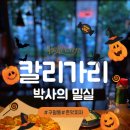 이노프라 이미지