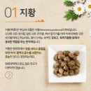 상현경희한의원 이미지