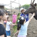 소중농장 이미지