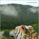 산청전통한방휴양관광지 | 산청 동의보감촌