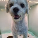 태경삼익아파트 이미지