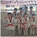 하랑태권도 - 도봉구 도당로13길 49 | 하랑태권도