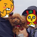 와우 동물농장 이미지