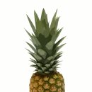 파인애플 이미지