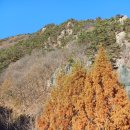 장태산휴양림 이미지