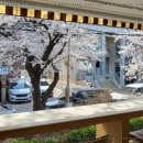 오로라케익하우스 이미지