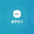 블루망고투어