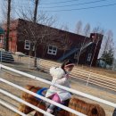 우농타조농장 이미지