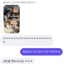 포항여객선터미널 | 경남 울릉도 Day1. 포항여객선터미널 무료주차 엘도라도익스프레스호 다애식당 JD호스텔
