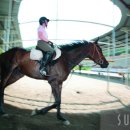 골드 헬스클럽 이미지